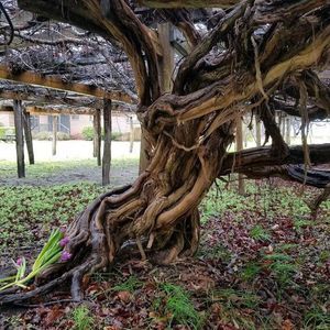 Meet your Posher, Cari